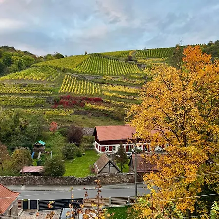 Mit Weinbergblick Apartamento Dresden